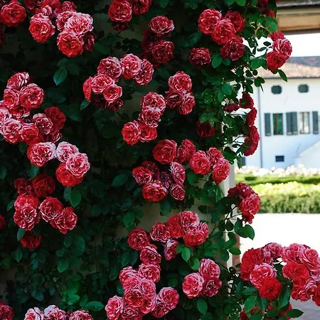 Borgo Dei Conti Della Torre Country house *